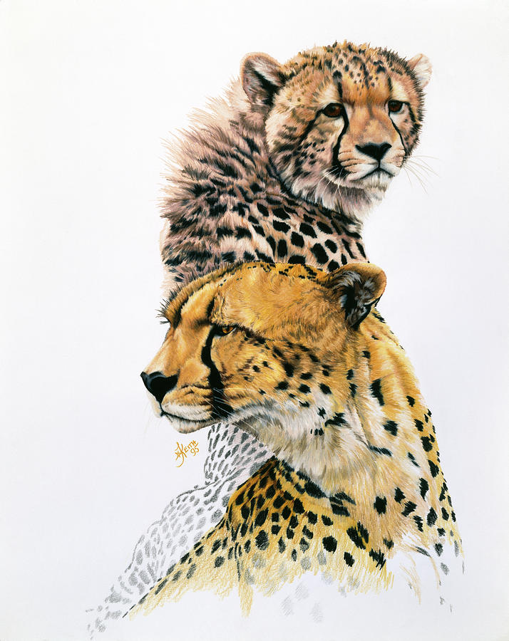 Cheetah Painting - Brother Of The Wind #1 by Barbara Keith