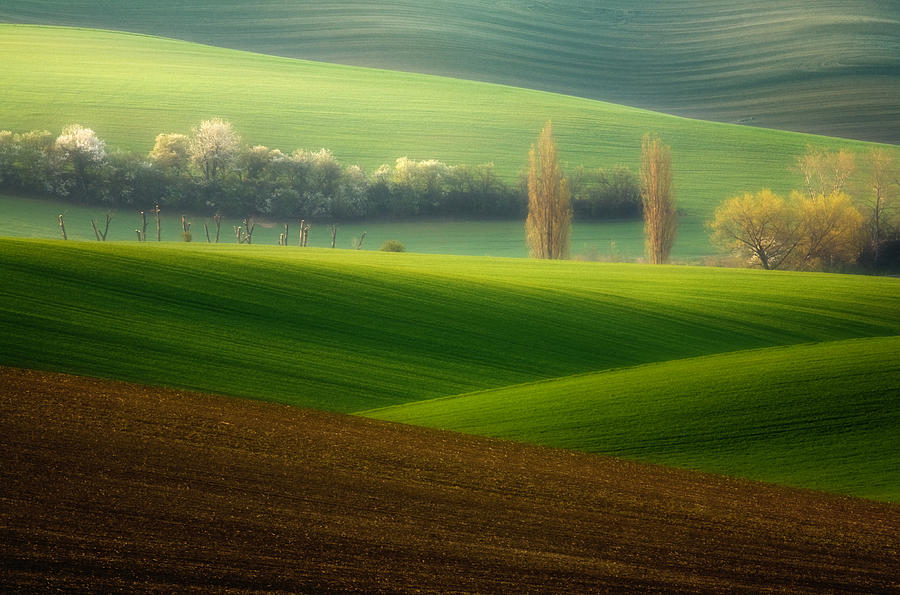 Landscape Photograph - Brothers... #1 by Krzysztof Browko
