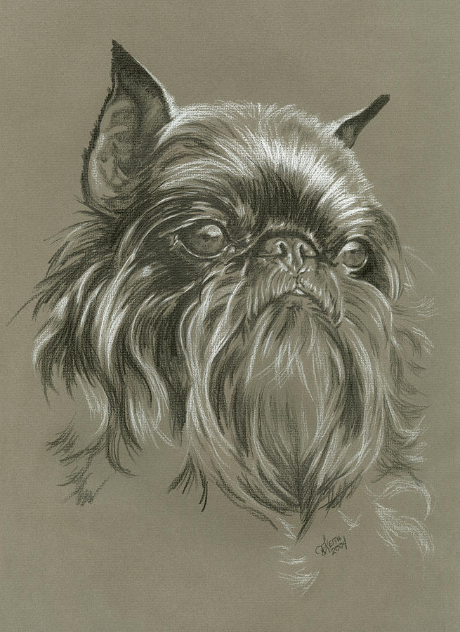 Animal Painting - Brussels Griffon #1 by Barbara Keith