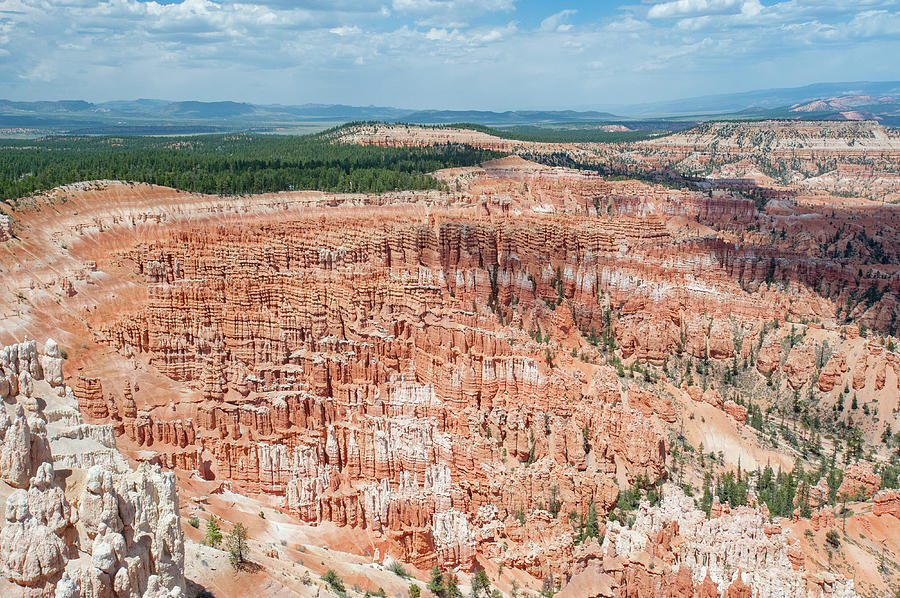 Bryce Canyon Hoodoos #1 Photograph by Mark Duehmig