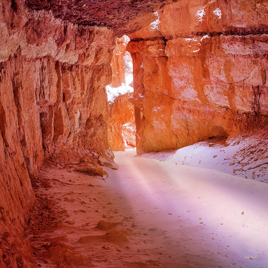 Bryce Canyon Winter Light #1 Photograph by Leland D Howard