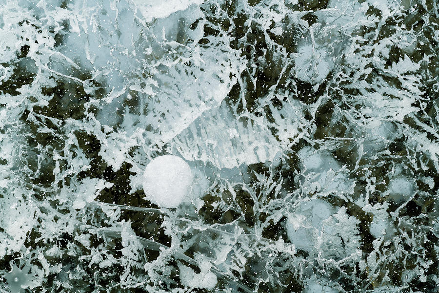 Bubble Pattern In Midwinter Ice #1 Photograph by Panoramic Images