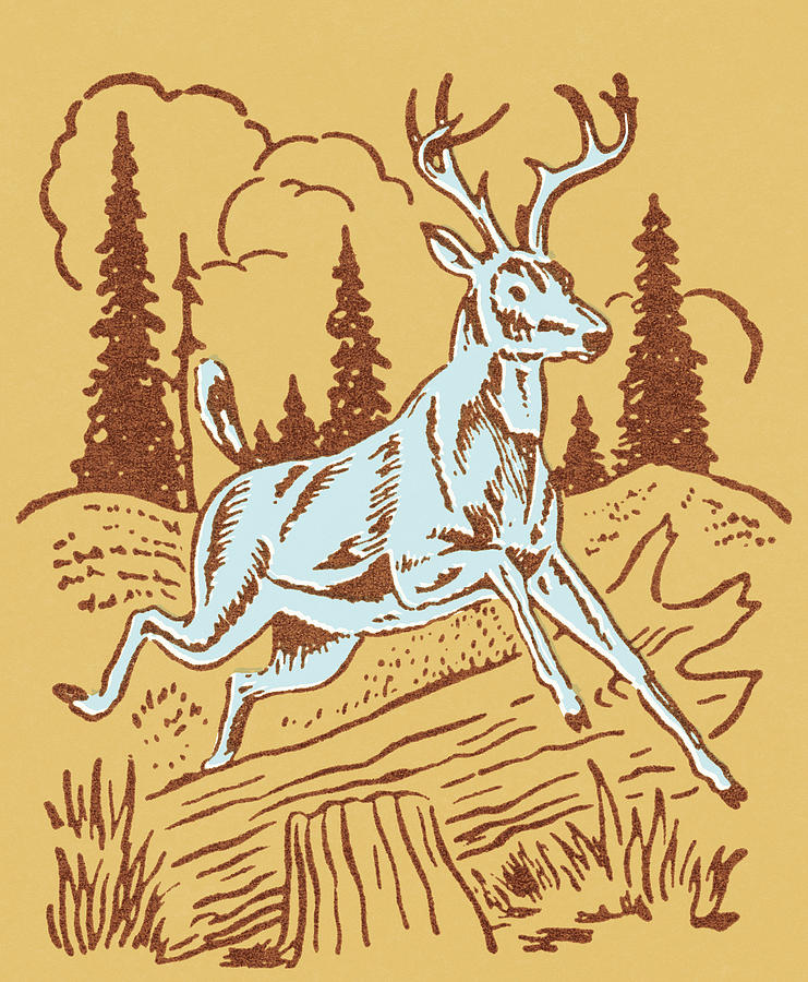 Deer Drawing - Buck #1 by CSA Images