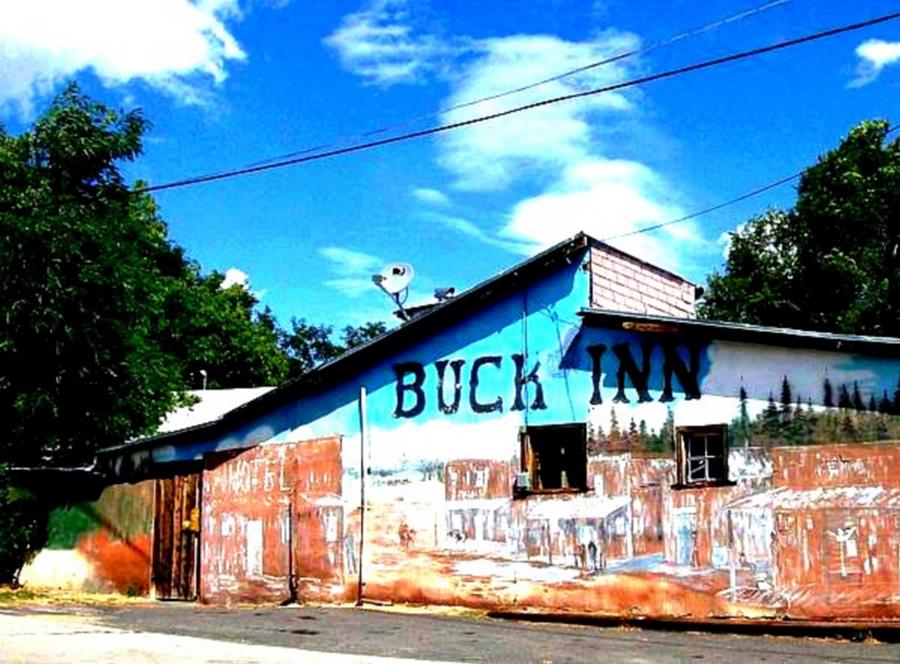 BUCK INN by Cj Carroll BUCK INN by Cj Carroll
