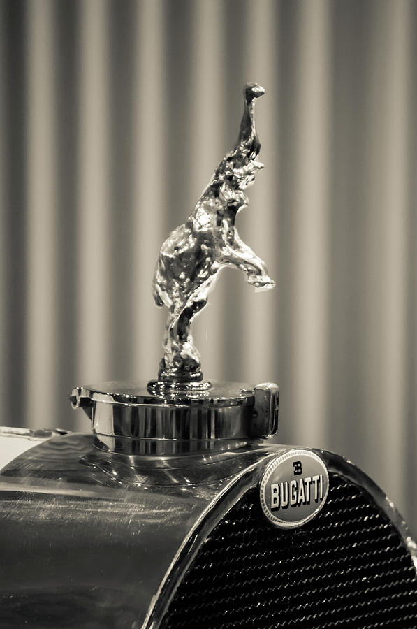 Bugatti #1 Photograph by Stewart Helberg