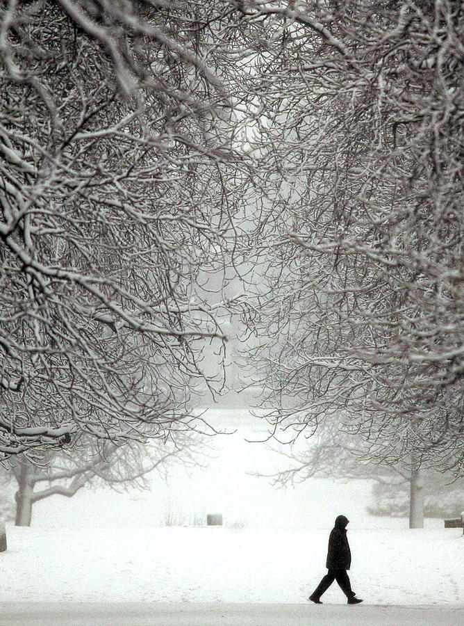 Bulgarian Walks Trough The Snow Photograph By Stoyan Nenov - Fine Art 