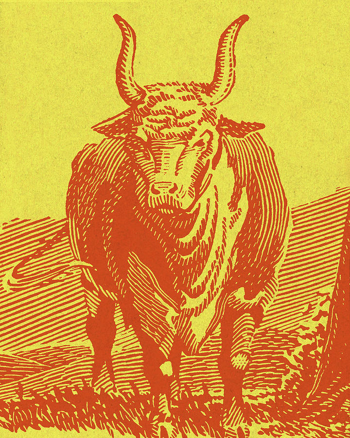 Vintage Drawing - Bull #1 by CSA Images