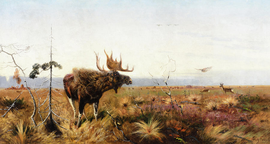 Yellowstone National Park Painting - Bull Moose #1 by Richard Friese
