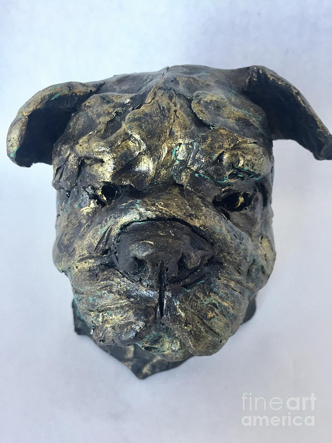 Bulldog by Gail Eisenfeld Bulldog by Gail Eisenfeld