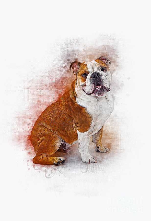 Dog Digital Art - Bulldog #1 by Ian Mitchell