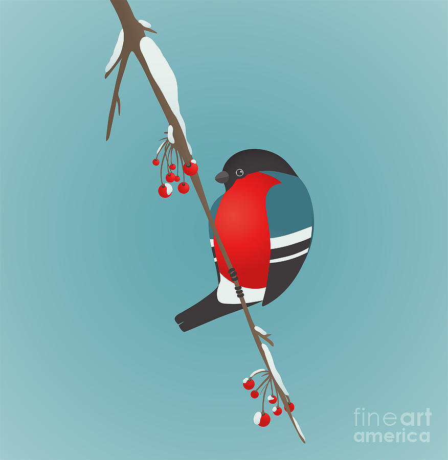 Berry Digital Art - Bullfinch Sitting On Ashberry Twig by Popmarleo