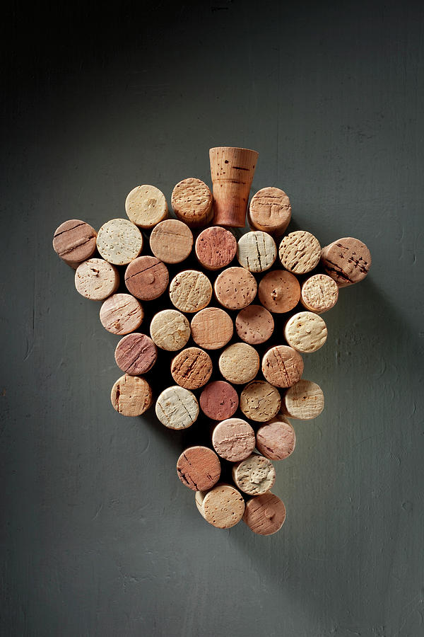 Bunch Of Wine Corks Photograph by Malerapaso