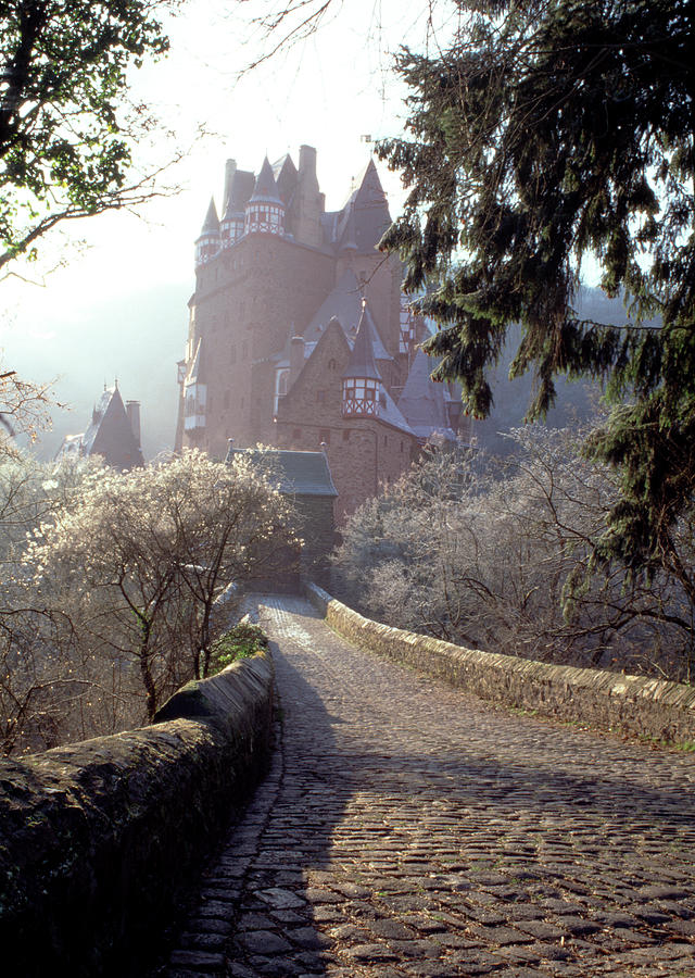 Burg Eltz Castle Near Moselle River #1 Photograph by Panoramic Images