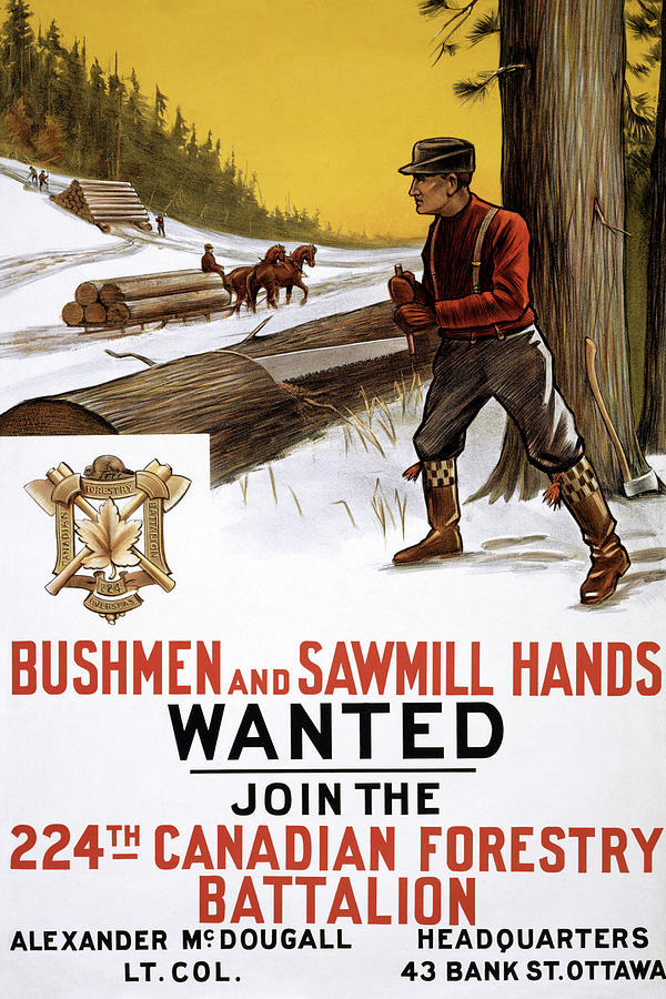 Tree Painting - Bushmen and sawmill hands Wanted #1 by The Mortimer Company