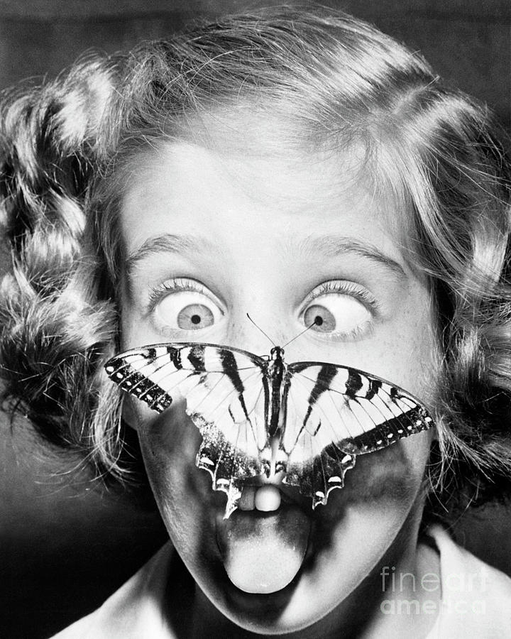 Butterfly Perched On Girls Nose #1 Photograph by Bettmann