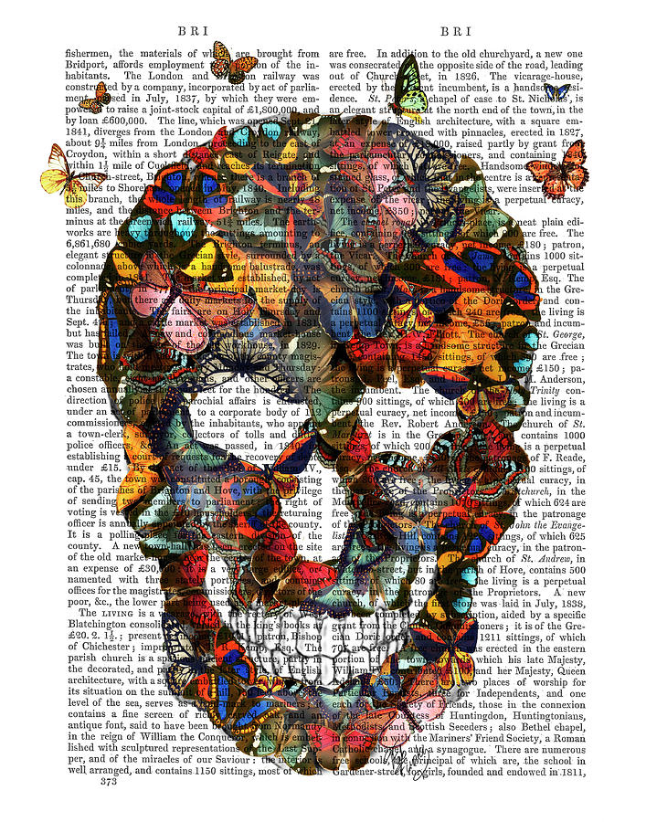 Butterfly Skull #1 Painting by Fab Funky