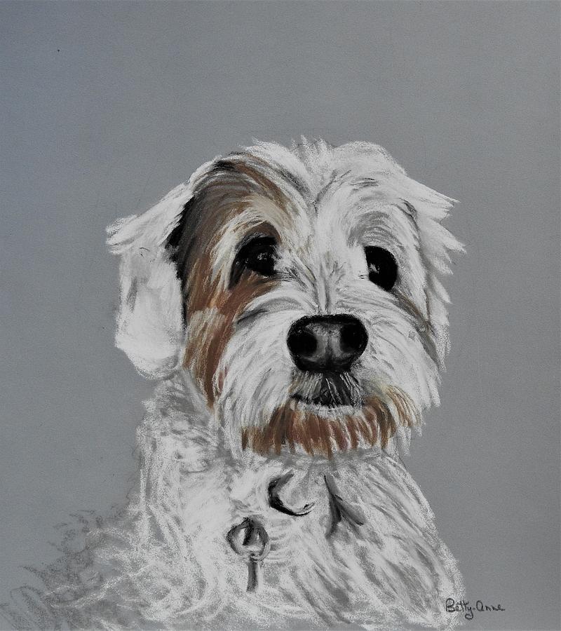 Butters #2 Pastel by Betty-Anne McDonald
