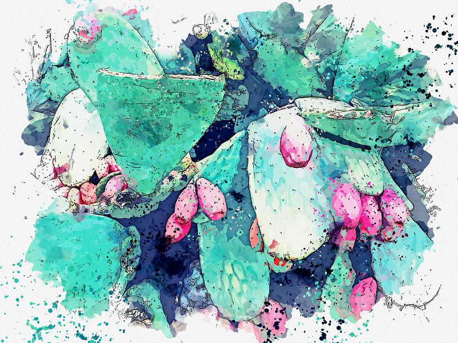 Cactus Pears -  Watercolor By Adam Asar Painting