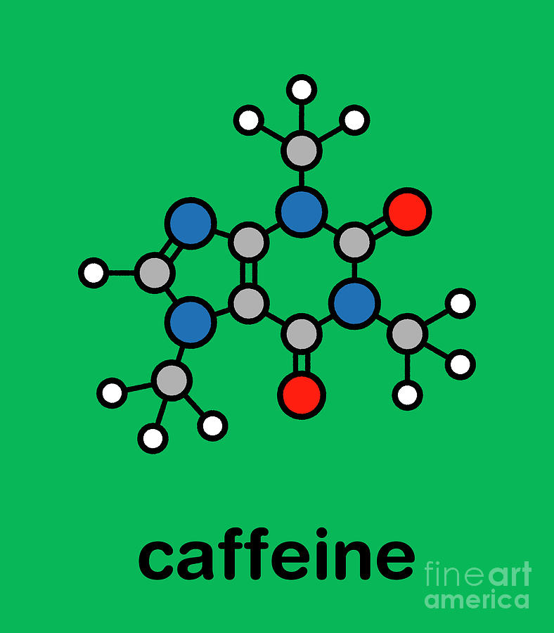 Caffeine Stimulant Molecule #1 Photograph by Molekuul/science Photo Library