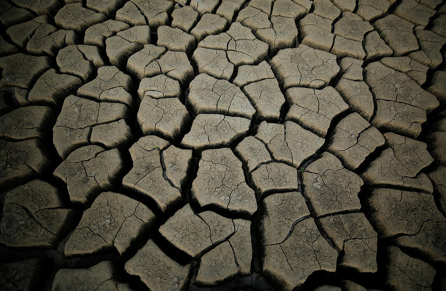 Caked Mud is Seen at Theewaterskloof Photograph by Mike Hutchings