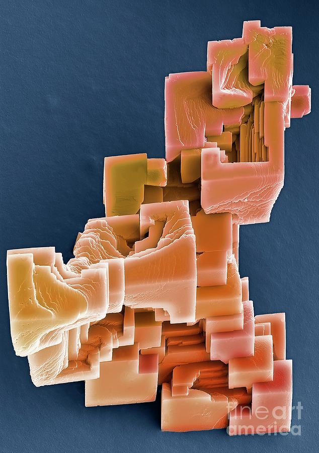Calcium Carbonate Crystals #1 Photograph by Steve Gschmeissner/science Photo Library