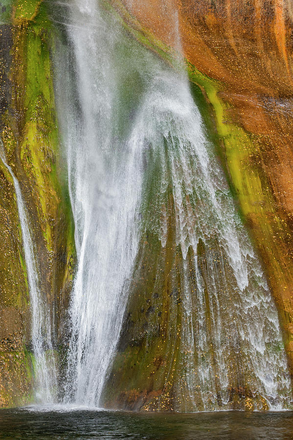 Calf Creek Falls In Utah #1 Photograph by Jeff Foott
