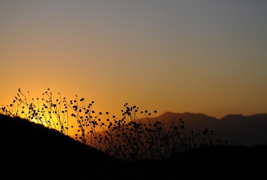 California San Bernardino Mountain Sunset #1 Photograph by Michael Hoard