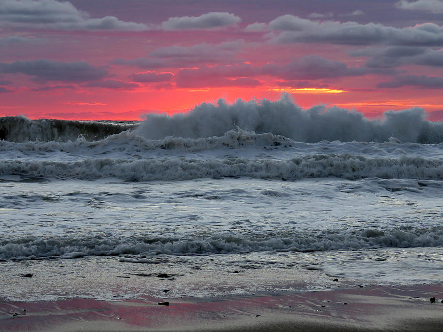 Call Of The Sea - Cape Cod National Seashore Photograph by Dianne Cowen Cape Cod Photography
