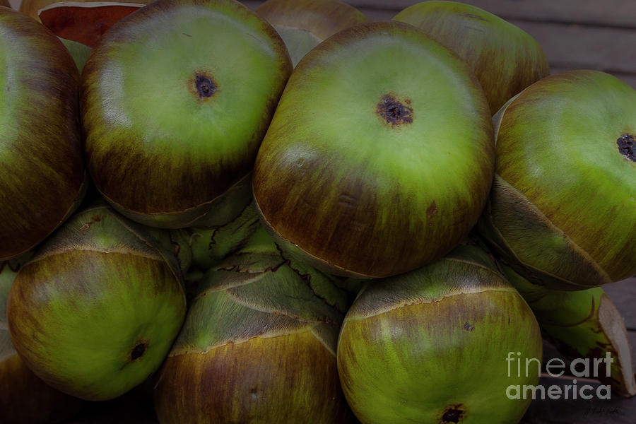 Cambodian Figs-Signed-#2632 #1 Photograph by J L Woody Wooden