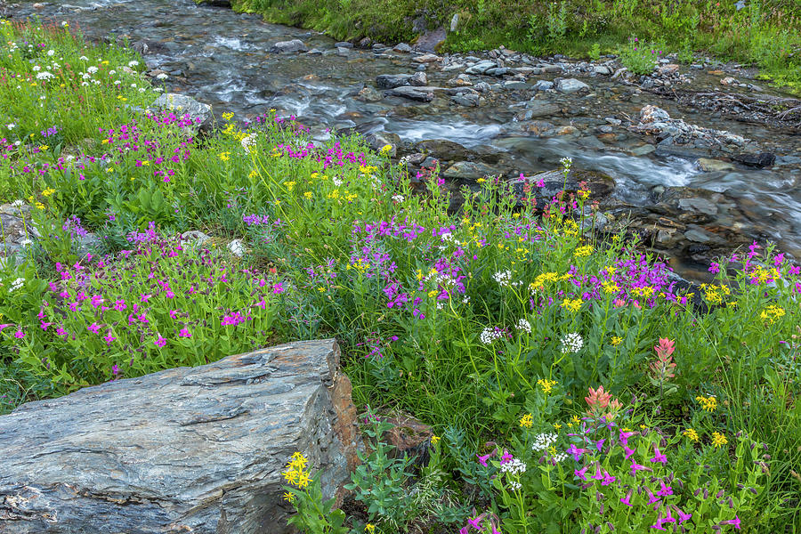 Canada, British Columbia, Selkirk #1 Photograph by Jaynes Gallery Canada, British Columbia, Selkirk #1 Photograph by Jaynes Gallery