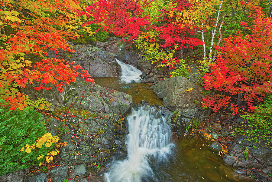 Fall Photograph - Canada, Nova Scotia, Cape Breton Island #1 by Jaynes Gallery