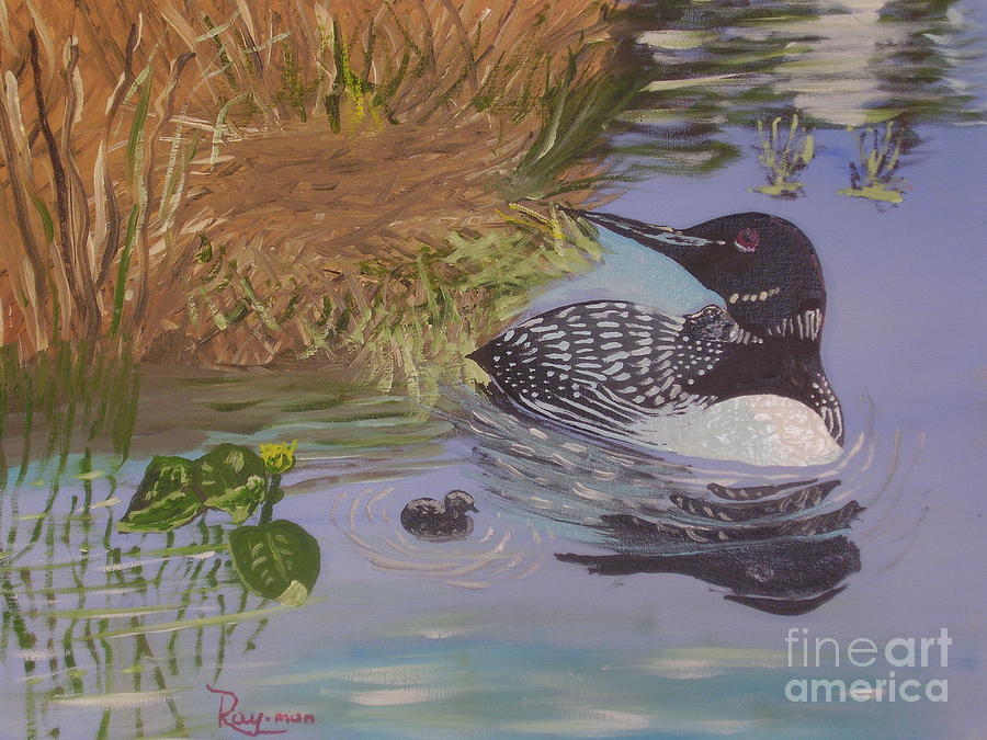 CANADIAN LOON - 063 by Raymond G Deegan CANADIAN LOON - 063 by Raymond G Deegan