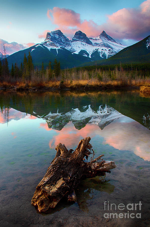 To The Wild Country Canadian Rocky Mountains 2 Photograph by Bob Christopher