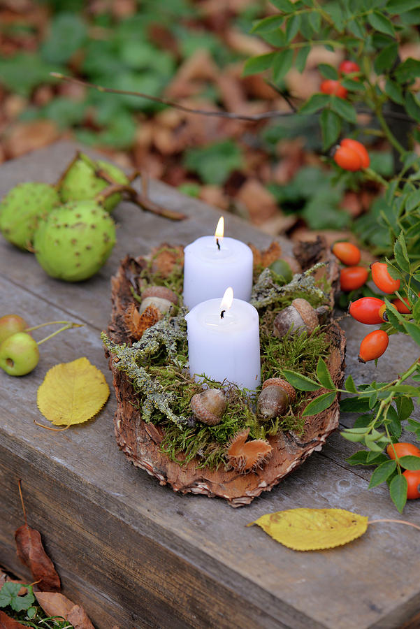 Candles With Moss And Acorns On Tree Bark #1 Photograph by Daniela Behr