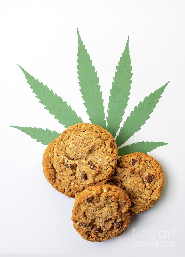 Cannabis Cookies #1 Photograph by Science Photo Library