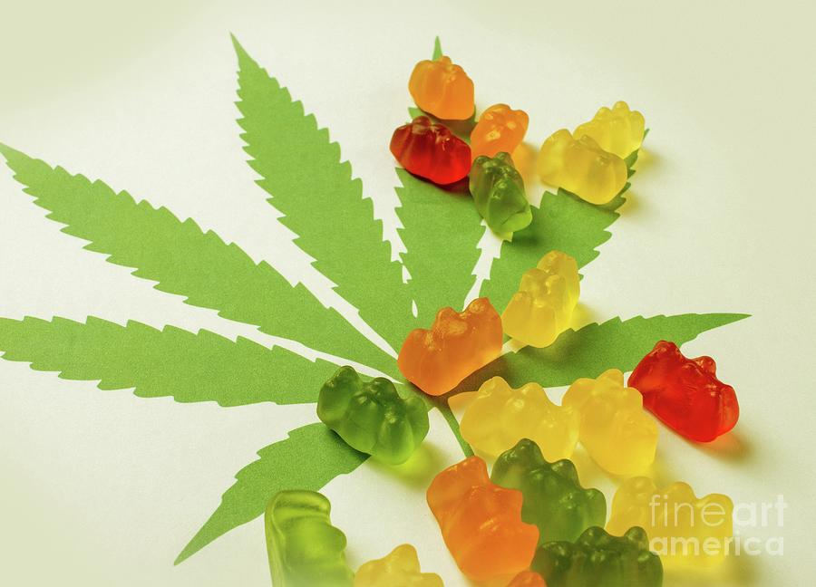 Cannabis Infused Gummy Bears #1 Photograph by Victor Habbick Visions/science Photo Library