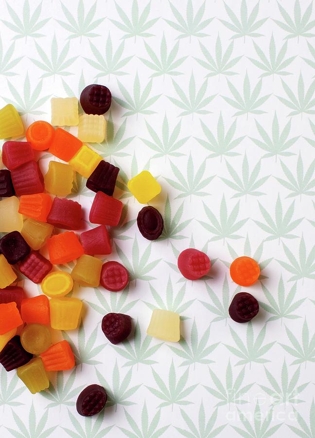 Cannabis Infused Sweets #1 Photograph by Science Photo Library Cannabis Infused Sweets #1 Photograph by Science Photo Library