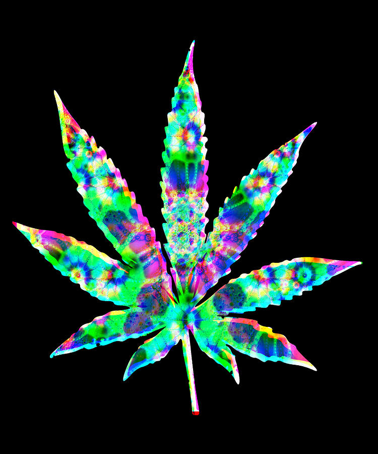 Cannabis Rainbow Design 28 Digital Art by Kaylin Watchorn