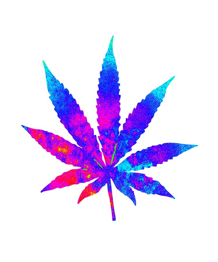 Cannabis Rainbow Design 34 Digital Art by Kaylin Watchorn