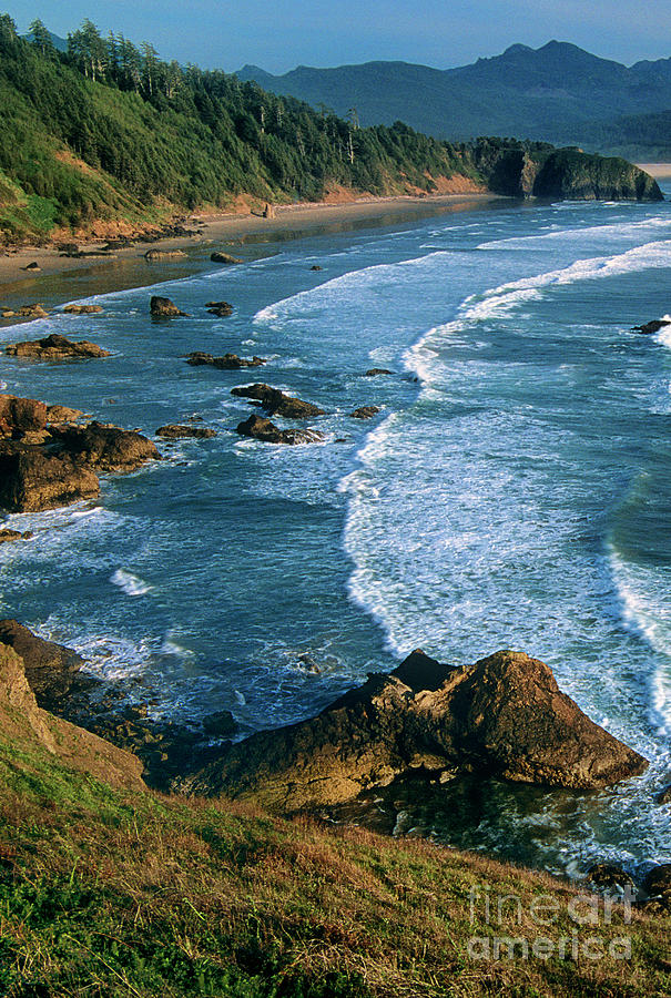 Cannon Beach From Ecola State Beach Overlook Oregon #1 Photograph by Dave Welling