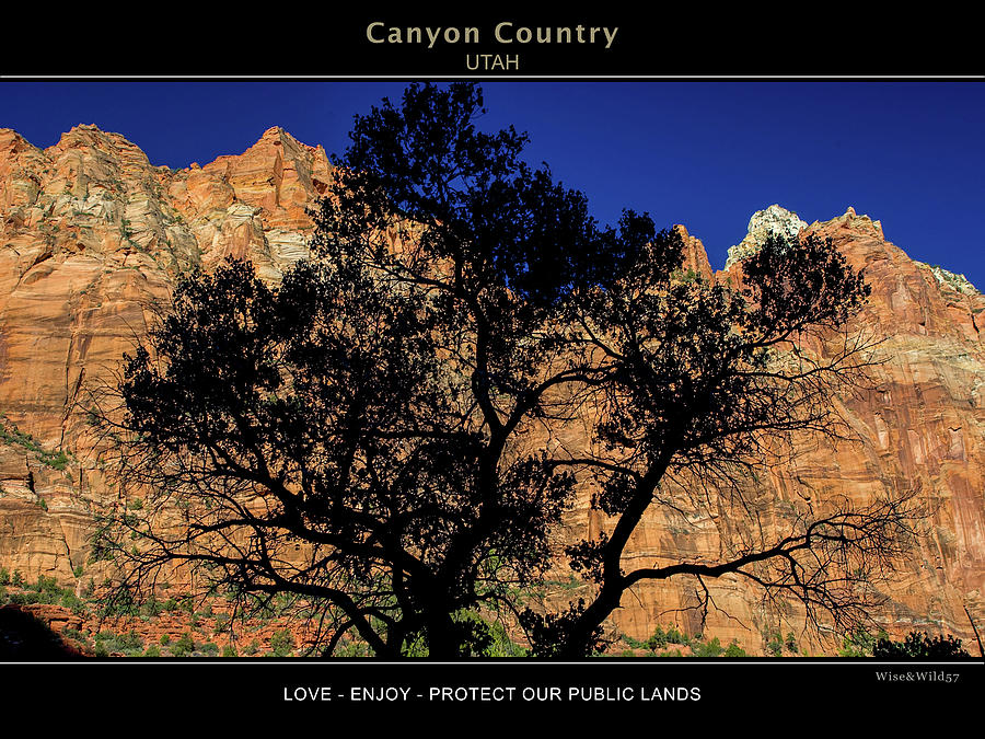 Canyon Country by WiseWild57 Canyon Country by WiseWild57