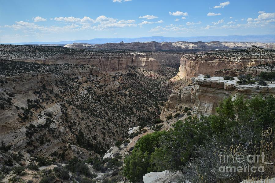 Canyon Lands Photograph by Leslie M Browning