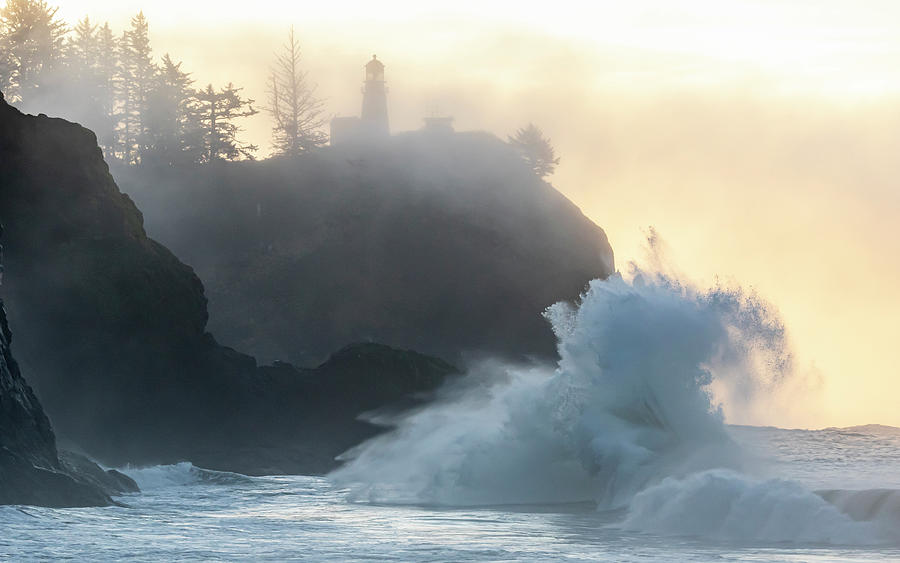 Lighthouse Photograph - Cape Disappointment,coast,danita #1 by William Sutton