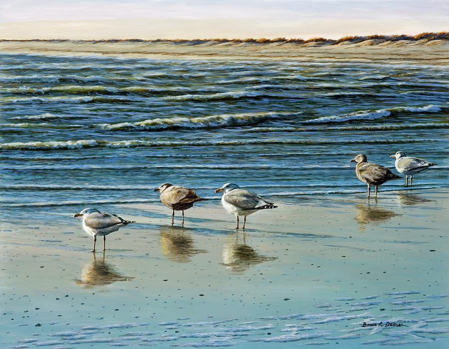 Cape May Herring Gulls #1 Painting by Bruce Dumas