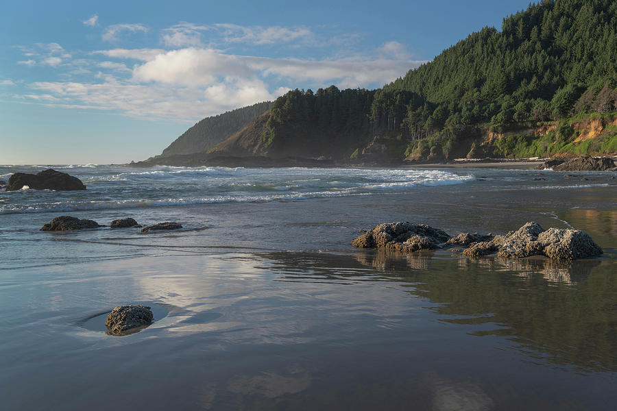 Cape Perpetua, Oregon #1 Photograph by Alan Majchrowicz - Fine Art America