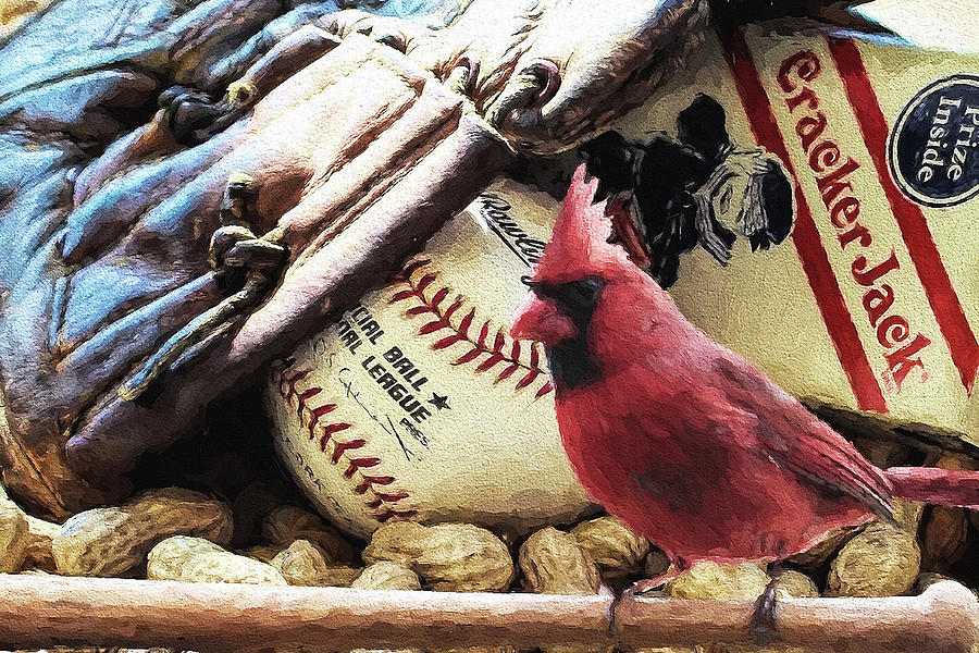 Cardinal Baseball #1 Photograph by John Freidenberg