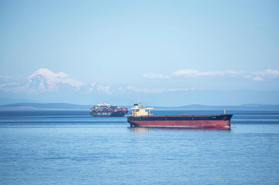 Cargo Oil Tanker Ship In The Ocean  #1 Photograph by Alex Grichenko