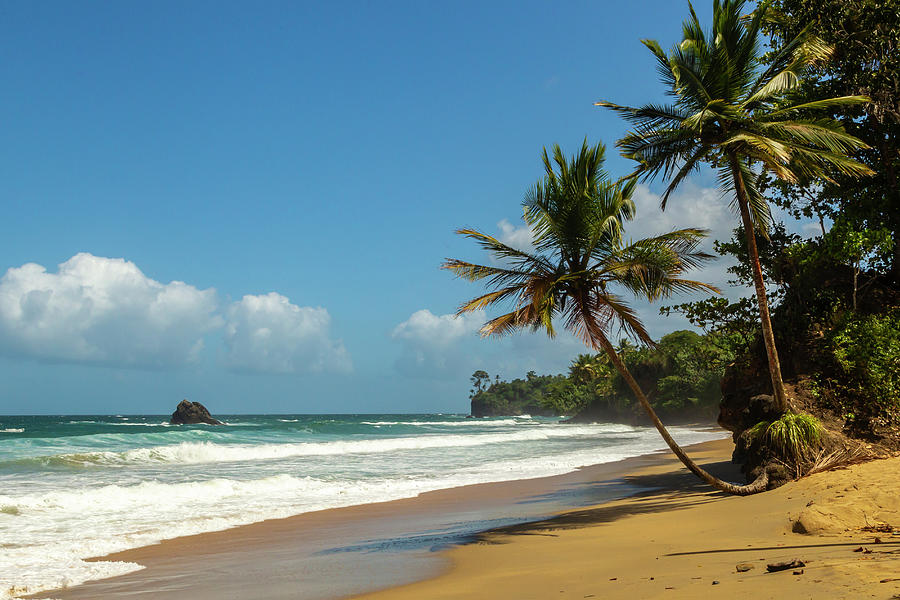 Caribbean, Trinidad, Blanchisseuse Bay Photograph by Jaynes Gallery ...