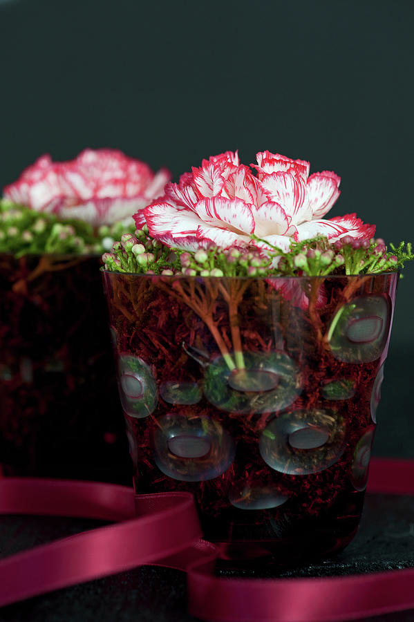 Carnation Flowers With Laurel Viburnum Buds In Small Jars #1 Photograph by Elisabeth Berkau