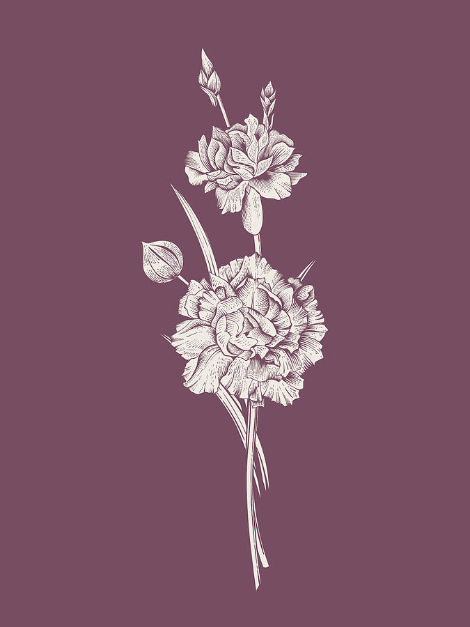 Flower Mixed Media - Carnation Purple Flower #1 by Naxart Studio